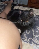 Анкета проститутки Жанна - метро Строгино, возраст - 25